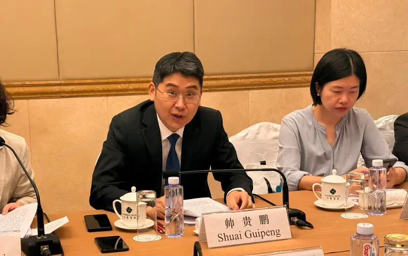 China assures implementation of China-Africa cooperation