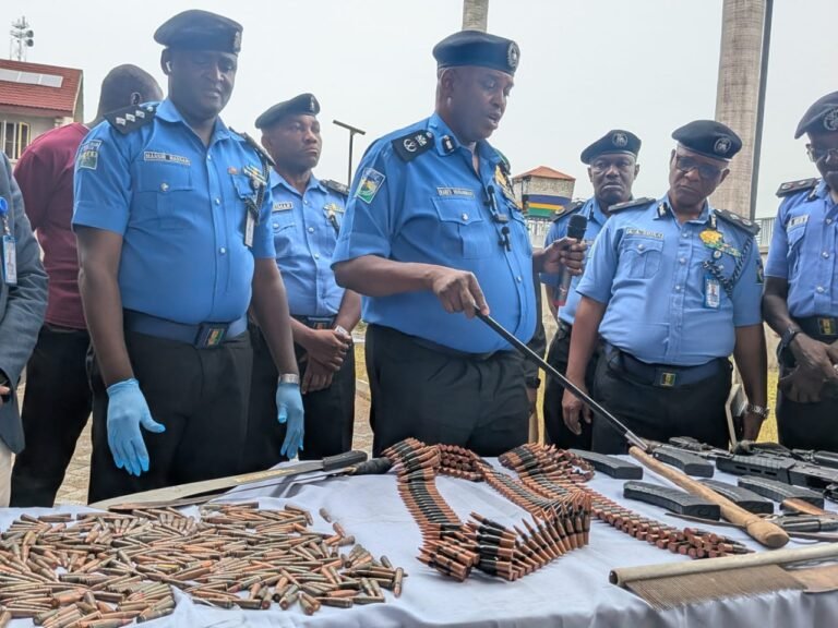 Police Nab Gun Runner, Recover AK-49 Rifles, RPG Ammunition In Kaduna - News Agency Of Nigeria