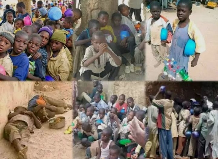 Insecurity: Committee Of VC Scribe Tasks Northern Leaders On Almajiri Reform - News Agency Of Nigeria