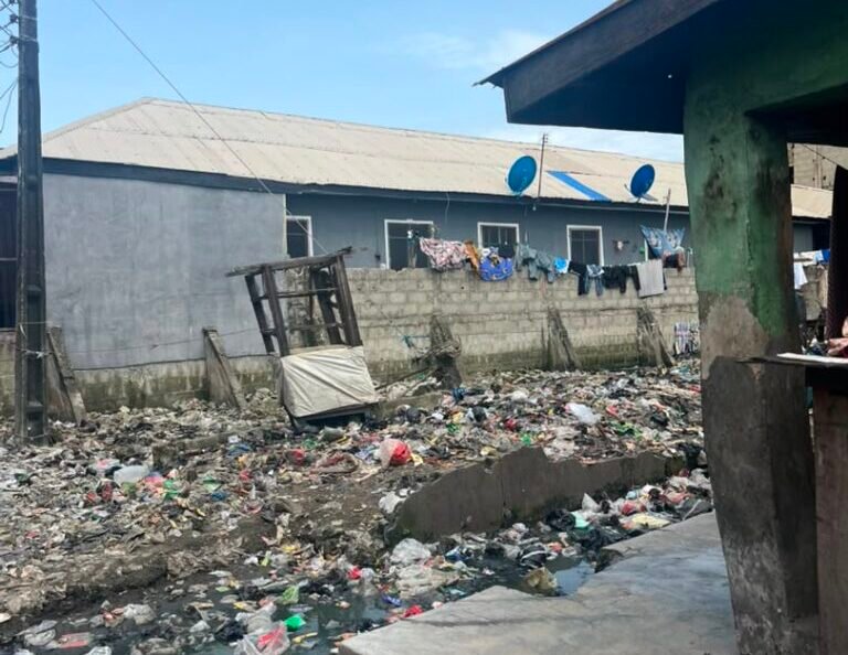 Some shops and houses surrounded by accumulated refuse in Iludun