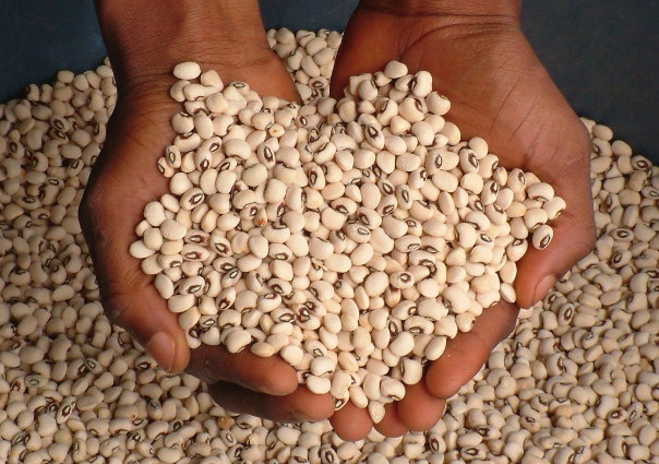 A beans seller in a local market