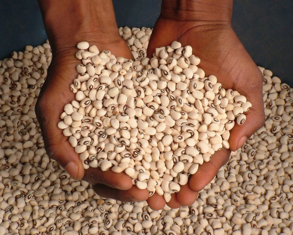 A beans seller in a local market