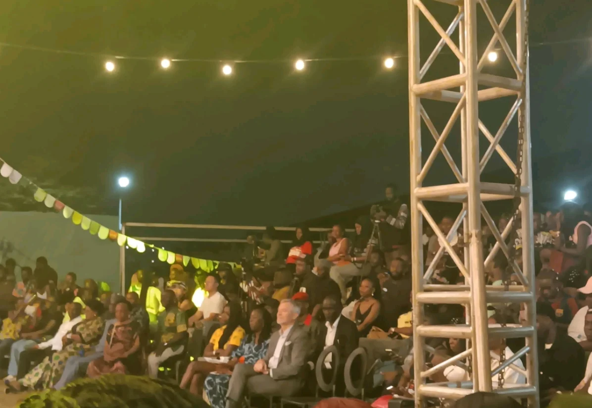 EU develops fresh projects to support Nigerian, African artistes