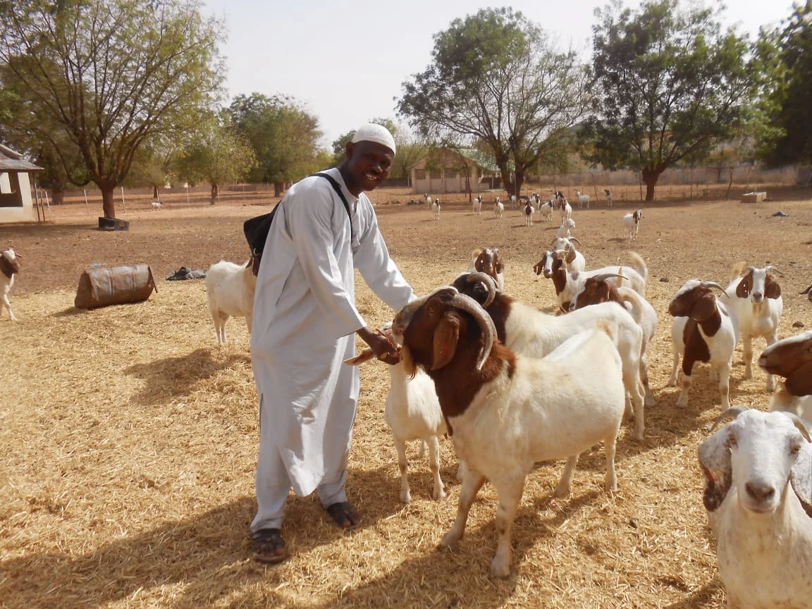 Association urges govt to establish community-based feed banks