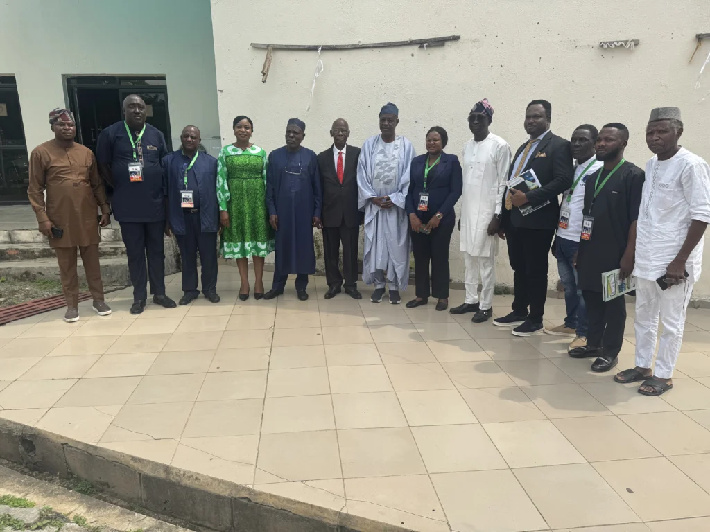 Stakeholders urge FG to strengthen satellite intelligence for national security