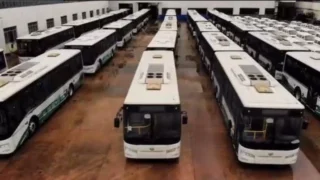 CNG buses for illustration