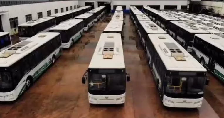 CNG buses for illustration