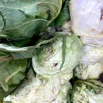 Some of the spoilt vegetables