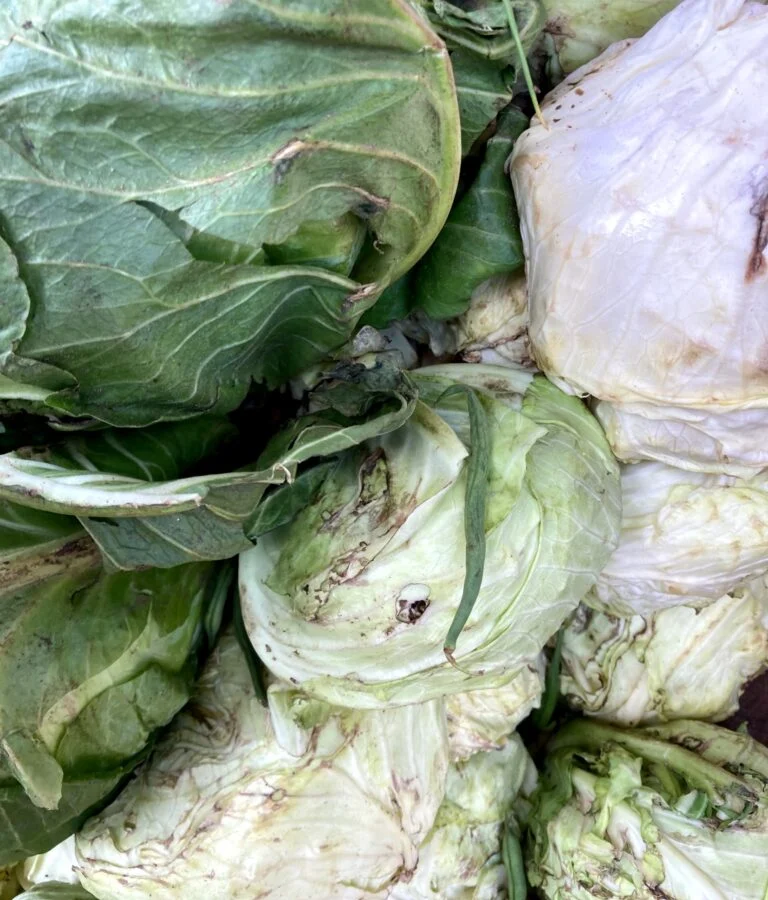 Some of the spoilt vegetables