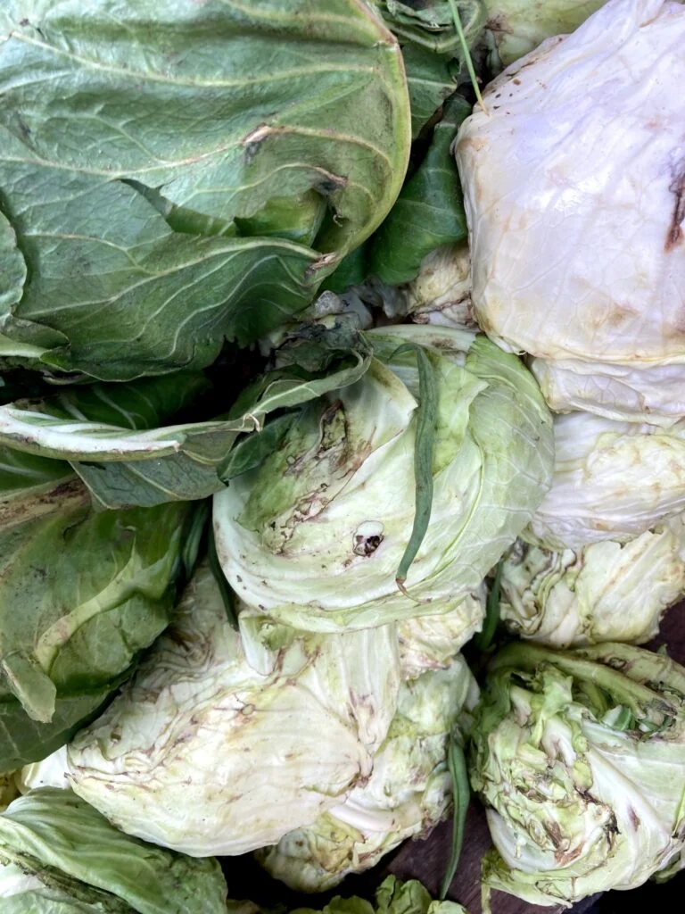 Lagos traders, consumers count losses from spoilt fruits, vegetables