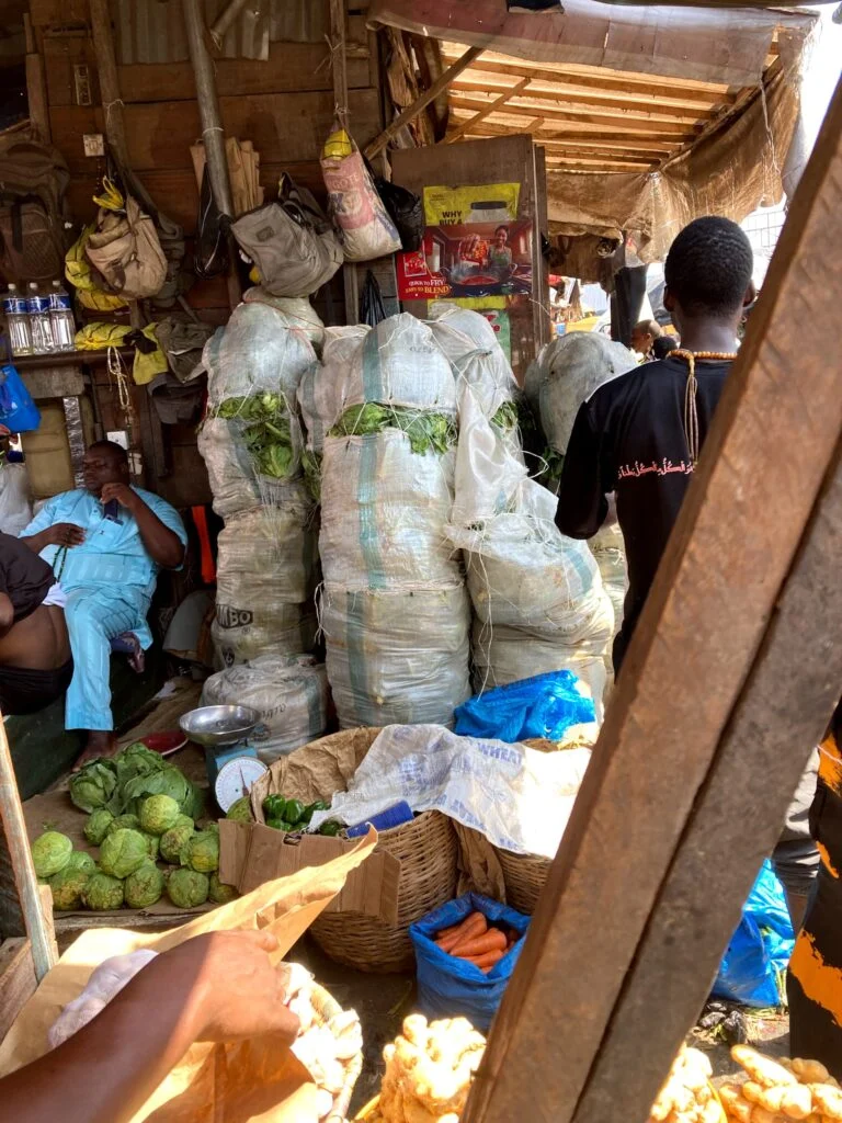 Spoilt fruits and vegetables in bags