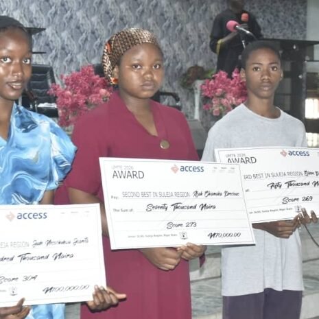Style Agent Structure NTDA DG Identifies Structure, Funding, Infrastructure As Tourism ...