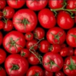 Tomatoes