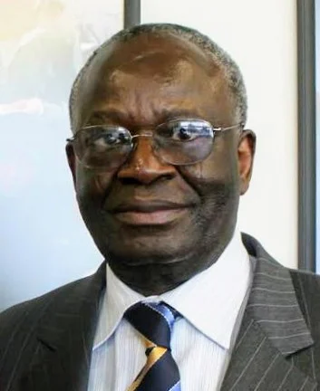 Gambari examines Nigeria, Africa global context for influence at diplomacy day