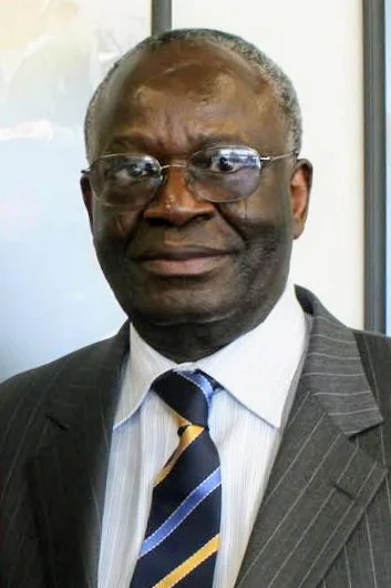 Gambari examines Nigeria, Africa global context for influence at diplomacy day